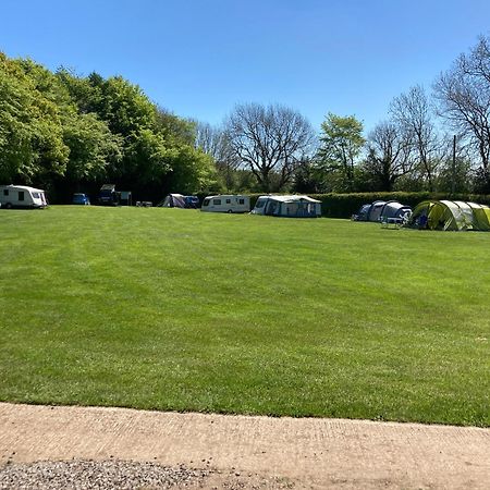 Bank Top Camping-North York Moors With Pitches For Caravans, Camper Vans And Tents Hotel พิกเคอริง ภายนอก รูปภาพ