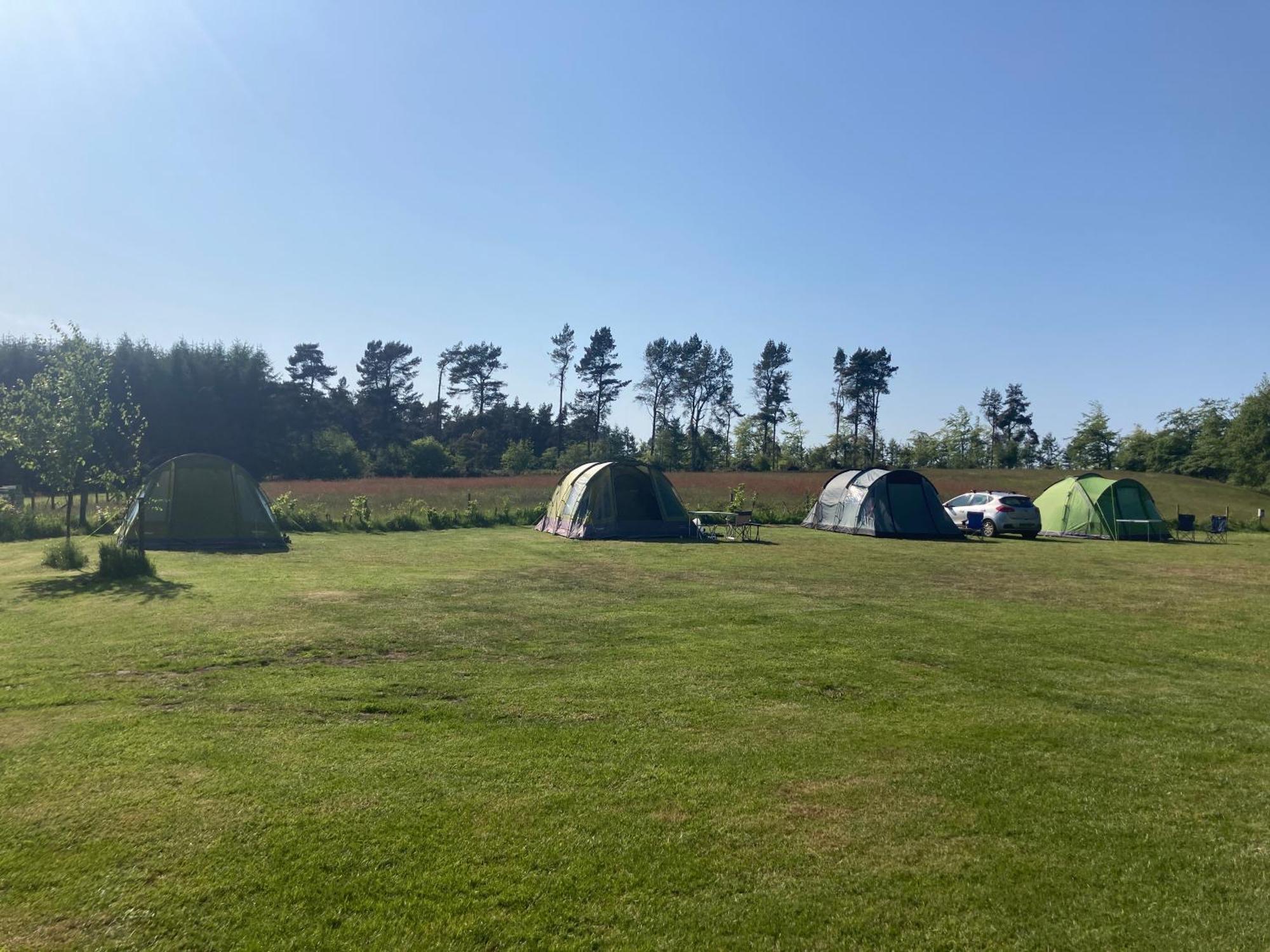Bank Top Camping-North York Moors With Pitches For Caravans, Camper Vans And Tents Hotel พิกเคอริง ภายนอก รูปภาพ
